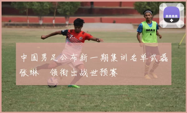 中国男足公布新一期集训名单武磊张琳芃领衔出战世预赛