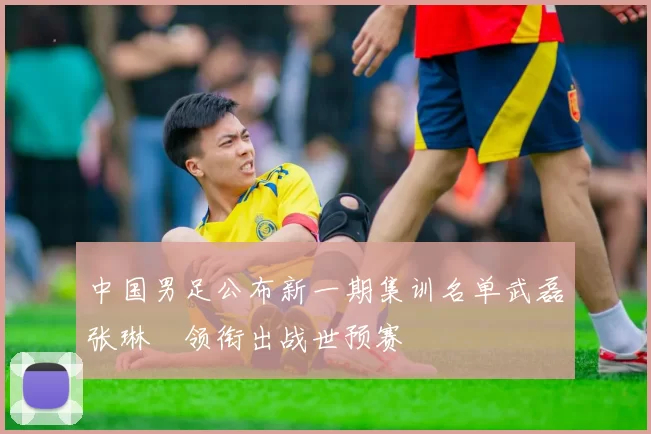 中国男足公布新一期集训名单武磊张琳芃领衔出战世预赛