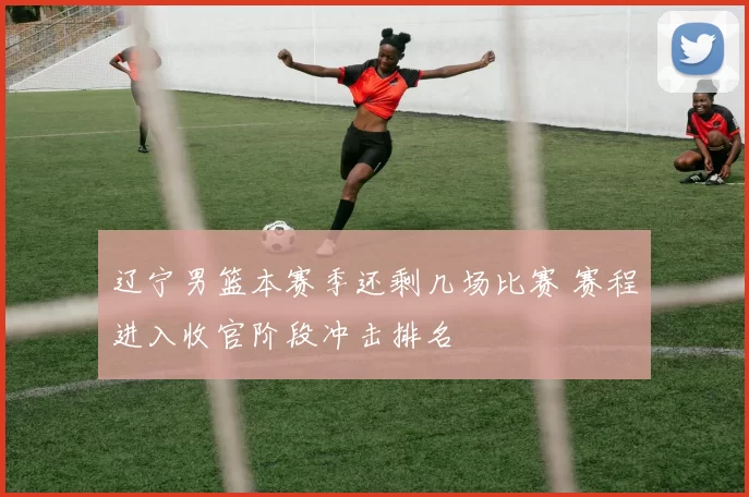 辽宁男篮本赛季还剩几场比赛 赛程进入收官阶段冲击排名