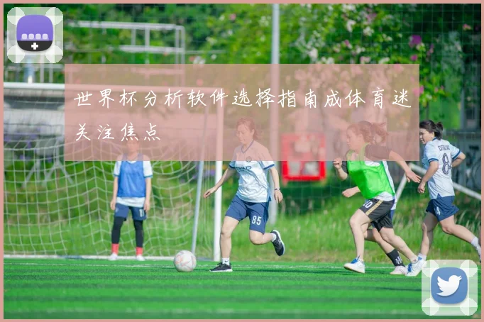 世界杯分析软件选择指南成体育迷关注焦点